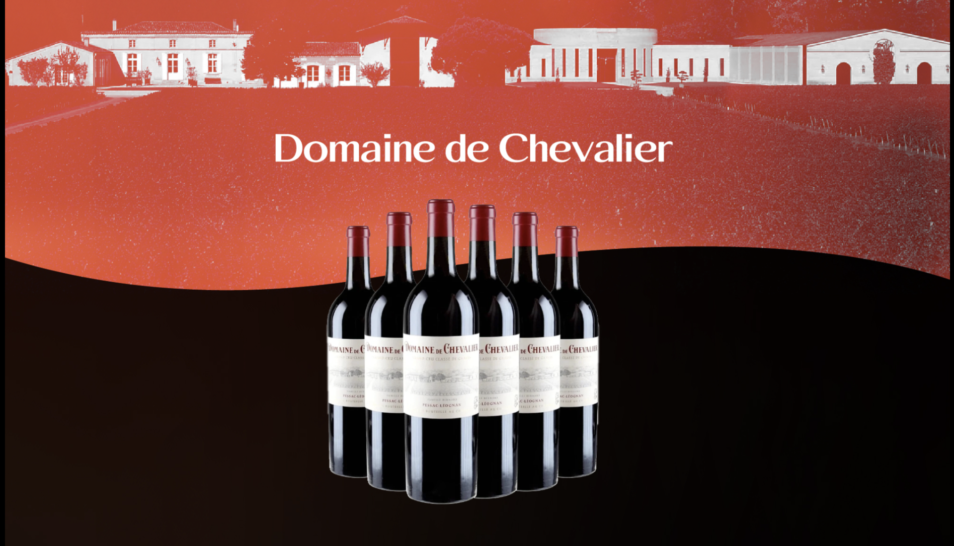 Hansa Wines & Spirits Discounts - Malta Food & Drink Discounts & Offer  on Coupon Club.mt - 5% Discount on Wines Only