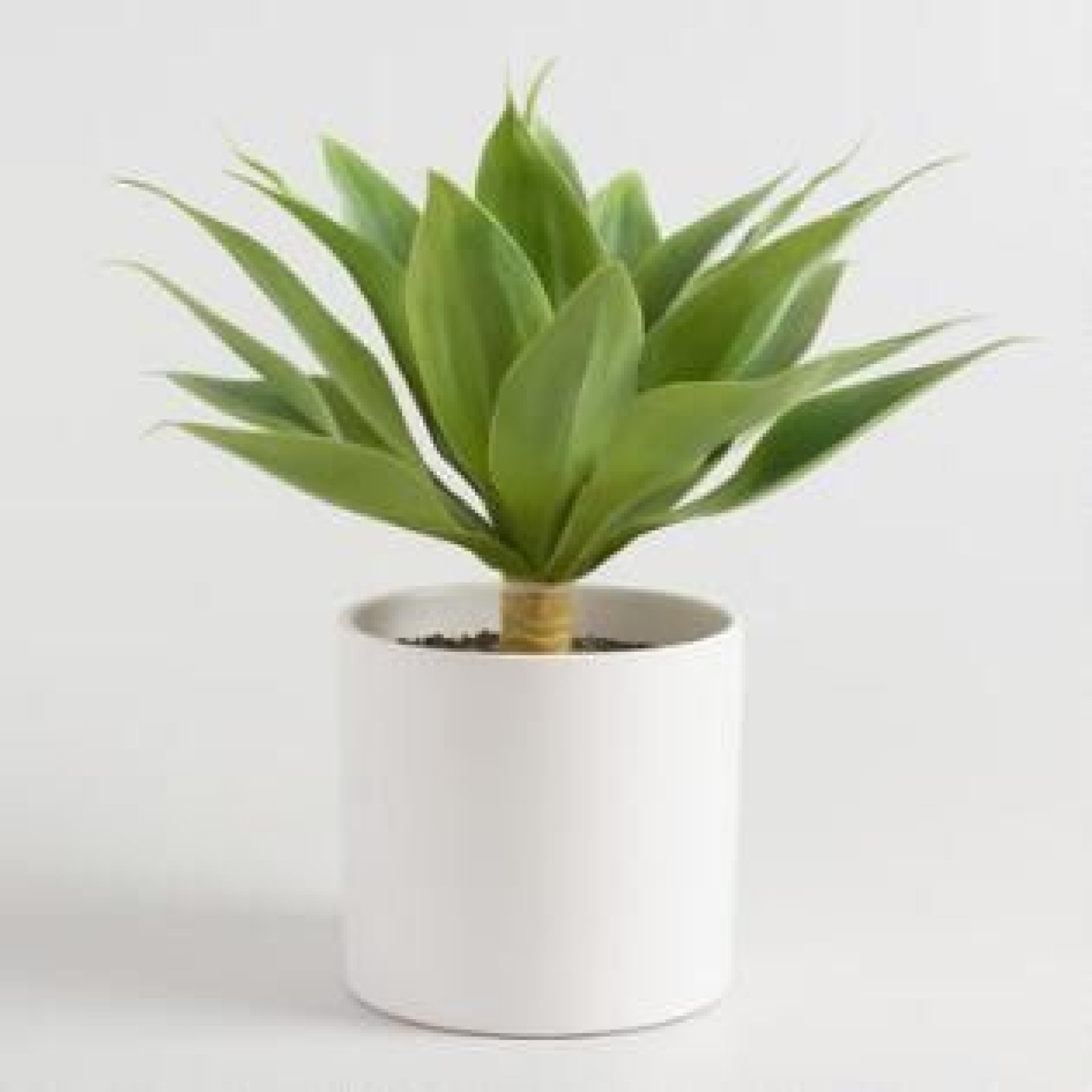 Starlite Garden Ornaments  Discounts - Malta Shopping Discounts & Offer  on Coupon Club.mt - 3-5% Discount on Total Receipt 