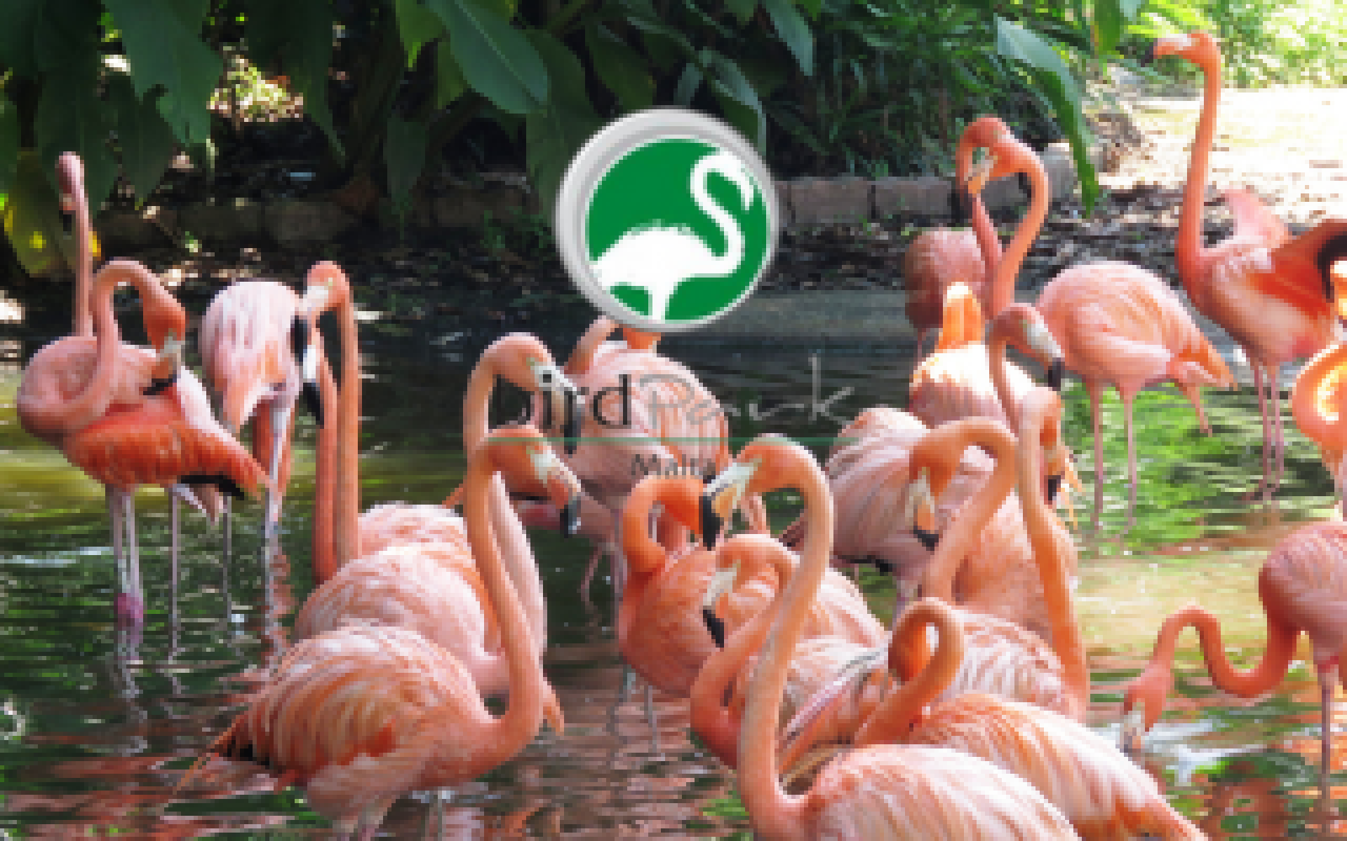 Bird Park Malta Discounts - Malta Entertainment Discounts & Offer  on Coupon Club.mt - 20% Discount on Total Receipt