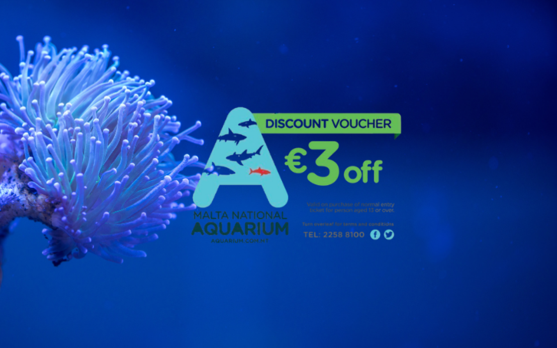 Malta National Aquarium Discounts - Malta Entertainment Discounts & Offer  on Coupon Club.mt - Get €3 off Your Ticket