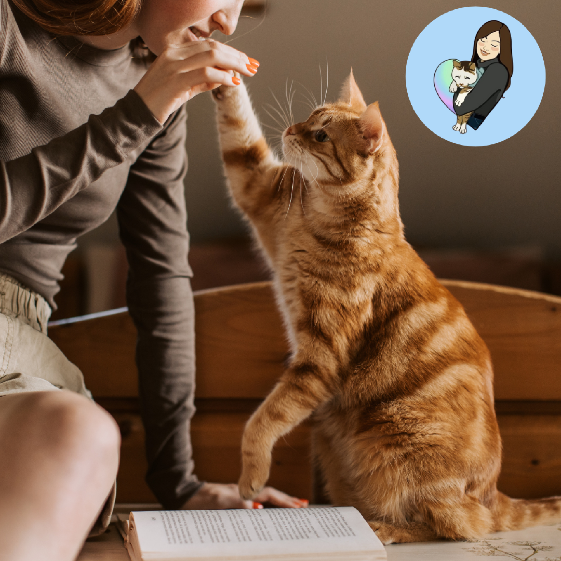 Mirabella's Vet Nursing & Pet Sitting Services Freebies - Malta Shopping Discounts & Offer on Coupon Club.mt - 1 Free Introductory Meeting